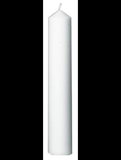 Gilleljus
