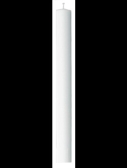 Gilleljus